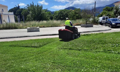 Εξωραϊσμός-– καλλωπισμός-των-χώρων-ευθύνης-του-ΔΛ.Τ-Θάσου