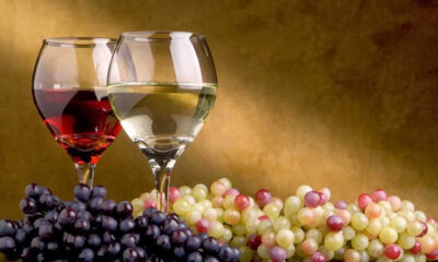 Διαδικτυακό-Σεμινάριο:-Δοκιμάζοντας-τα-κρασιά-του-Διονύσου