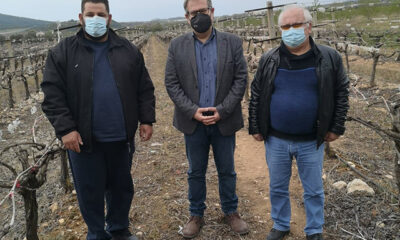Ο-Κώστας-Αντωνιάδης-στις-πληγείσες-αμπελοκαλλιέργειες-του-Παγγαίου