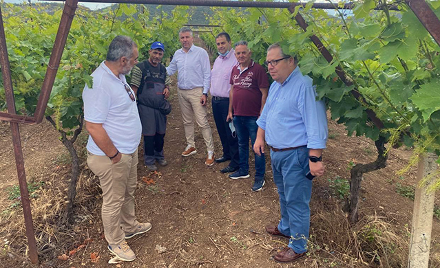 Η-«Περιφερειακή-Σύνθεση»-στις-πληγείσες-από-χαλαζόπτωση-περιοχές-του-Ν.-Καβάλας