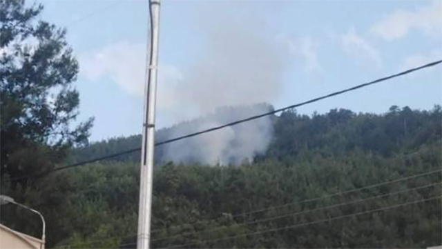Πυρκαγιά-σε-δασική-περιοχή-στη-Θάσο