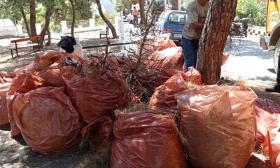 Καθάρισε-το-πάρκο-της-Καλαμίτσας-ο-Δήμος-Καβάλας