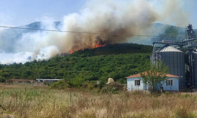 Πυρκαγιά-σε-δασική-έκταση-στην-είσοδο-των-Αντιφιλίππων