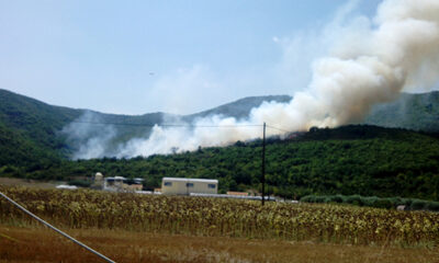 Συνελήφθη-ύποπτος-για-την-πυρκαγιά-στους-Αντιφιλίππους
