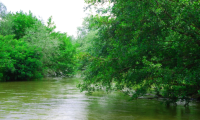 Πληροφορίες-για-τον-θάνατο-του-21χρονου-Δημήτρη-ζητά-η-οικογένειά-του