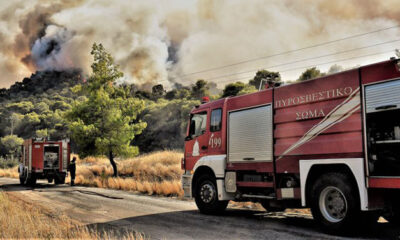 Κατασβέστηκε-πυρκαγιά-στο-Λυκόστομο-Καβάλας