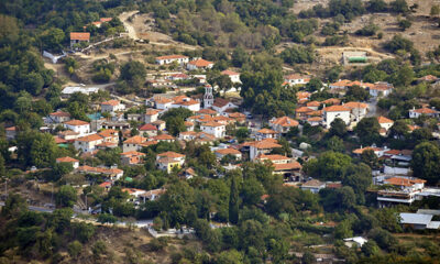 Μηνυτήρια-αναφορά-του-Θ.-Μουριάδη-για-τις-«αδέσποτες»-αγελάδες-στην-Παλιά-Καβάλα