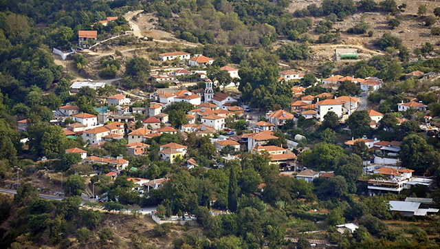 Μηνυτήρια-αναφορά-του-Θ.-Μουριάδη-για-τις-«αδέσποτες»-αγελάδες-στην-Παλιά-Καβάλα
