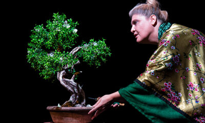 «bonsai.-Ιστορίες-για-το-Βέλος-του-Χρόνου»-στο-Θέατρο-Αμαλία