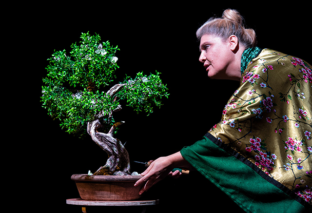 «bonsai.-Ιστορίες-για-το-Βέλος-του-Χρόνου»-στο-Θέατρο-Αμαλία