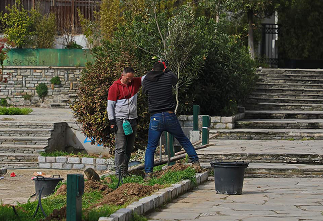 Φυτεύσεις-δέντρων-στο-πάρκο-Φαλήρου