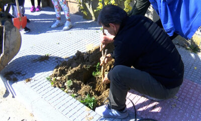 Δενδροφυτεύσεις-στο-αστικό-περιβάλλον-της-Χρυσούπολης