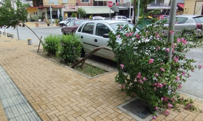 Το-είχαμε-πει,-κανείς-δεν-μας-άκουσε