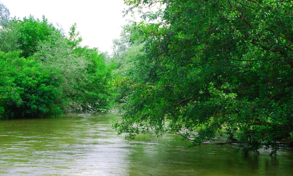 Νέστος:-Νεκρός-ενοπίστηκε-Βούλγαρος-ψαράς