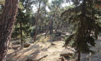 ΘΑΣΟΣ:-Απαγόρευση-κυκλοφορίας-σε-δασικές-εκτάσεις-λόγω-του-πολύ-υψηλού-κίνδυνου-πυρκαγιάς