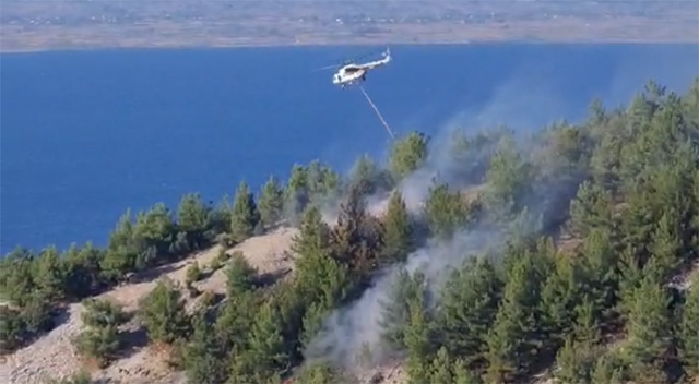  Πυρκαγιά-σε-δασική-έκταση-στο-Ραχώνι- 