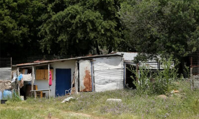 Θάνατος-κτηνοτρόφου-Ποδοχώρι:-Επίθεση-από-το-κριάρι-δείχνει-η-ιατροδικαστική-εξέταση