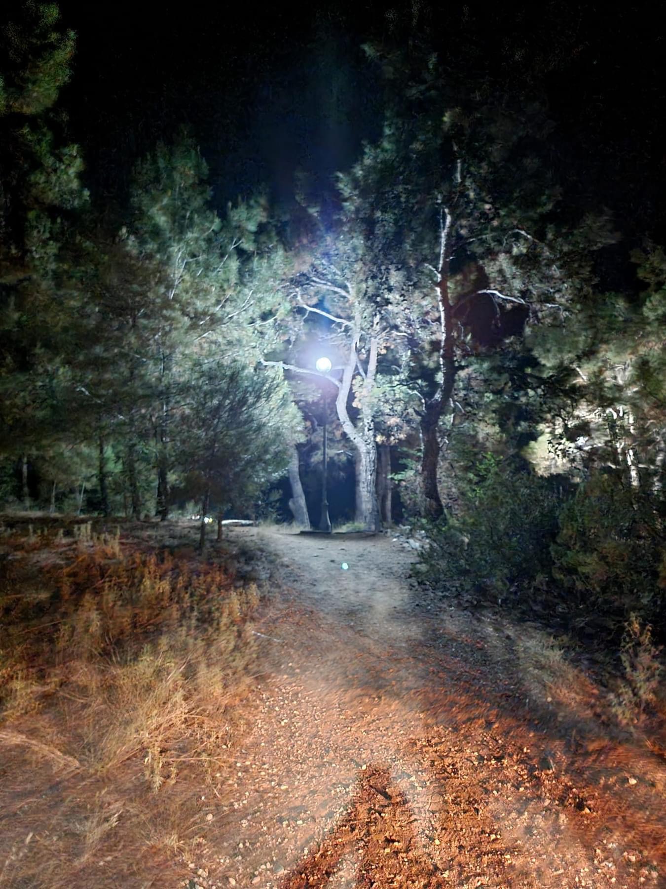 Το-Πευκάρι-φωτίστηκε