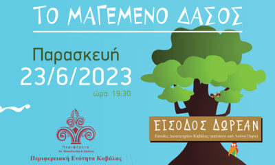 «Το-Μαγεμένο-Δάσος»-στον-περιβάλλοντα-χώρο-του-Διοικητηρίου-Καβάλας