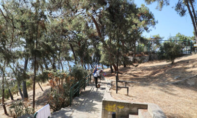 Καθαρισμός-δασικών-εκτάσεων-και-κοινόχρηστων-χώρων-στην-πόλη-της-Καβάλας