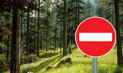 Απαγόρευση-κυκλοφορίας-σε-δασικές-εκτάσεις-της-Θάσου-λόγω-του-πολύ-υψηλού-κίνδυνου-πυρκαγιάς-(κατηγορία-κινδύνου-4)-από-08-08-2023