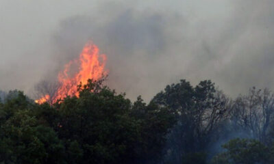 Ποινική-δίωξη-για-απόπειρα-εμπρησμού-στους-13-μετανάστες-που-συνέλαβαν-πολίτες-στον-Έβρο