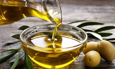 Παγγαίο:-Έκλεψαν-τρεις-τόνους-ελιές-από-χωράφι