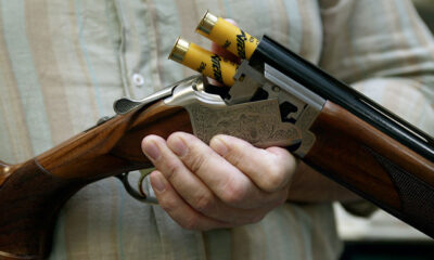 Θάσος:-Πυροβόλησε-και-τραυμάτισε-αδέσποτο-σκύλο