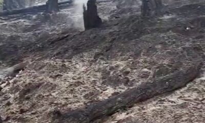 Δυο-πυρκαγιές-από-κεραυνούς-σε-δασική-έκταση-στη-Θάσο