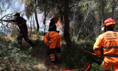 Χωρίς-ανησυχία-η-πυρκαγιά-από-κεραυνό-στη-Θάσο
