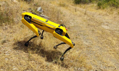 Ένας-ρομποτικός-σκύλος-περιπολεί-στο-δάσος-της-Λιμνιάς