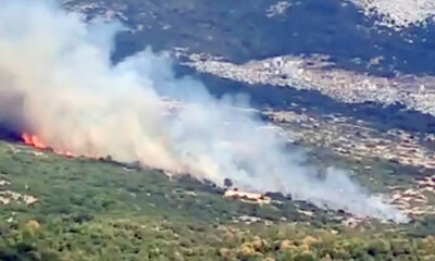 Πυρκαγιά-στο-Στεγνό-του-δήμου-Νέστου