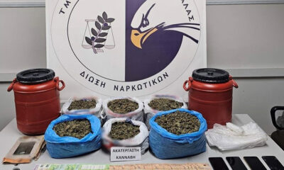 Καβάλα:-Είχαν-«καβάτζα»-στο-δάσος-με-ακατέργαστη-κάνναβη