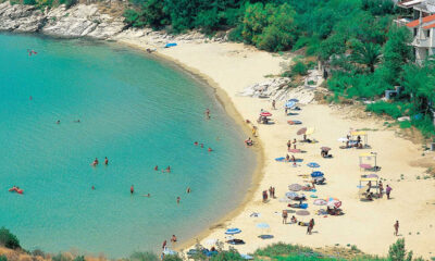 Η-καντίνα-στις-«Γλάστρες»-του-Παληού