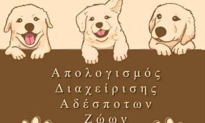 ΔΗΜΟΣ-ΚΑΒΑΛΑΣ:-Απολογισμός-διαχείρισης-αδέσποτων-ζώων-συντροφιάς-το-2024