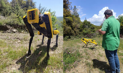 o-ρομποτικός-σκύλος-έρχεται-στην-Καβάλα