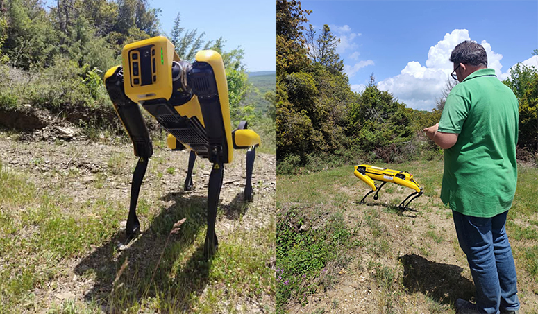 o-ρομποτικός-σκύλος-έρχεται-στην-Καβάλα