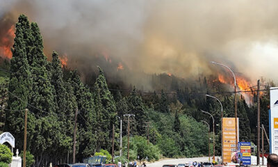 Άμεσα-και-συντονισμένα-αντιμετωπίστηκε-η-πυρκαγιά στην-Άσπρη-Άμμο