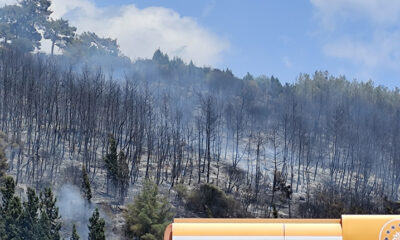 80-στρέμματα-έκαψε-η-πυρκαγιά-στην-Άσπρη-Άμμο