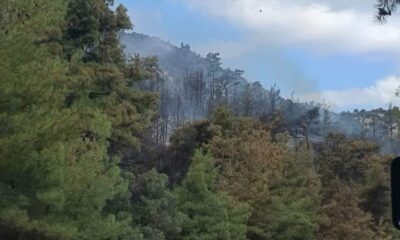 Στη-Θάσο-δόθηκε-μάχη-με-τις-φλόγες-–-Μήνυμα-ετοιμότητας-και-ευθύνης-από-τον-Θ.-Μαρκόπουλο