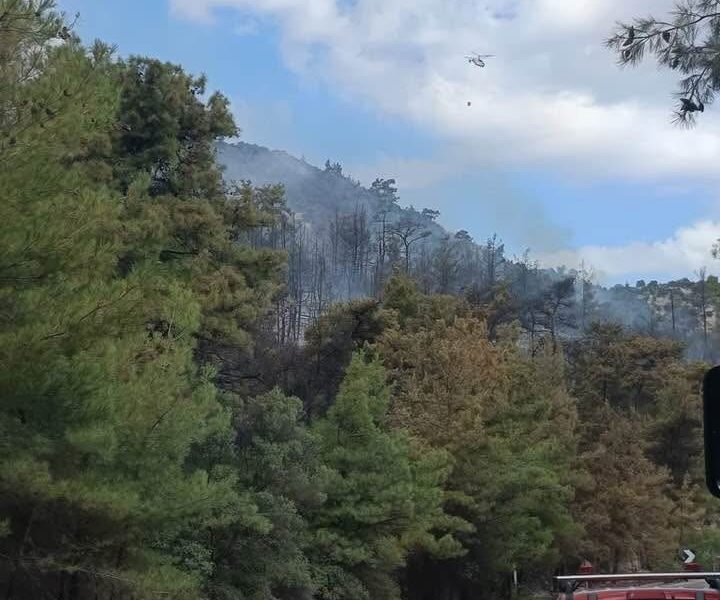 Στη-Θάσο-δόθηκε-μάχη-με-τις-φλόγες-–-Μήνυμα-ετοιμότητας-και-ευθύνης-από-τον-Θ.-Μαρκόπουλο