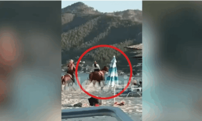 Εκτός-κινδύνου-το-5χρονο-κορίτσι-που-χτυπήθηκε-στο-κεφάλι-από-άλογο