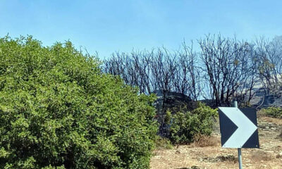 Αντιμετωπίστηκε-άμεσα-πυρκαγιά-στο-Χρυσόκαστρο-Παγγαίου