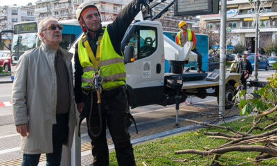 Κοπή-ξερών-και-επικίνδυνων-κλαδιών-στον-Δημοτικό-Κήπο-Καβάλας