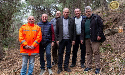 Καθαρισμός-δασικής-έκτασης-στο-Παληό