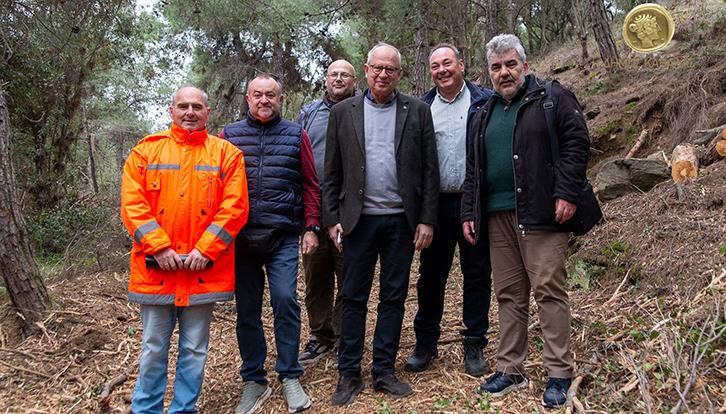 Καθαρισμός-δασικής-έκτασης-στο-Παληό