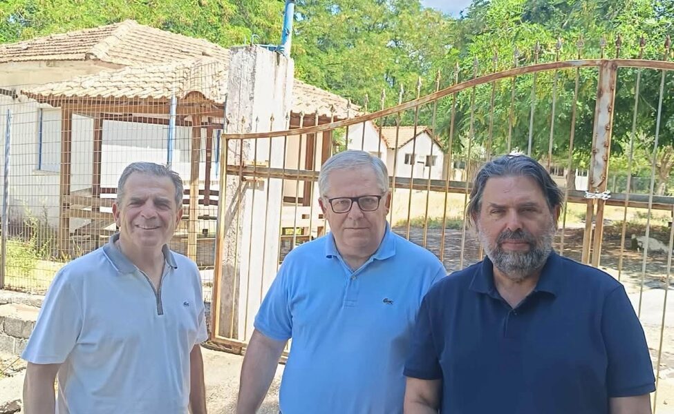 summer-campus-του-Πανεπιστημίου-στη-Θάσο:-Σε-εκπαιδευτικό-κέντρο-για-Έλληνες-και-ξένους-φοιτητές-μετατρέπεται-η-κατασκήνωση