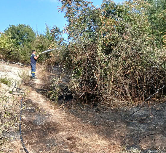 Ελευθερούπολη:-Αντιμετωπίστηκε-άμεσα-πυρκαγιά