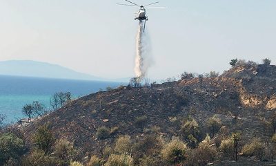 Αντιμετωπίζεται-με-επιτυχία-η-πυρκαγιά-στην-παραλιακή-Εγνατία