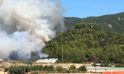 Πυρκαγιά-σε-δασική-έκταση-στο-Ελαιοχώρι-Καβάλας